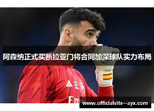 阿森纳正式买断拉亚门将合同加深球队实力布局 阿森纳正式买断拉亚门将合同加深球队实力布局